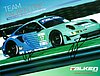 Card 2013 ALMS-GT (S).jpg