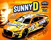 Card 2023 Daytona 500 (NS).jpg