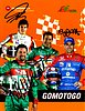 Card 2003 IRL-Andretti-Green (S).jpg