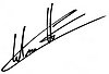 Autograph.jpg