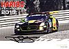 Card 2015 Ring 24 h (S).jpg