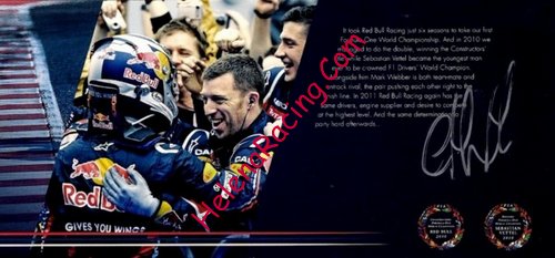 Card 2011 F1-Team (S)-.jpg