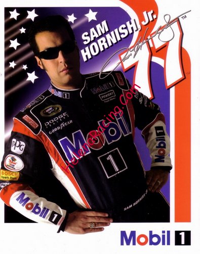 Card 2008 Sprint Cup (P).jpg