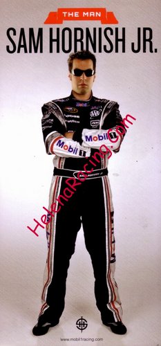 Card 2010 Sprint Cup (NS).jpg