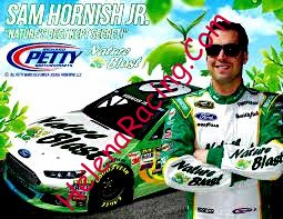 Card 2015 Sprint Cup-Nature Blast (NS).jpg