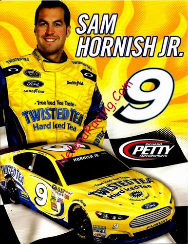 Card 2015 Sprint Cup-Twisted (NS).JPG