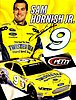 Card 2015 Sprint Cup-Twisted (S).jpg