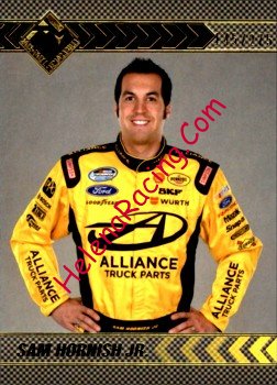 2013 Memorabilia.JPG