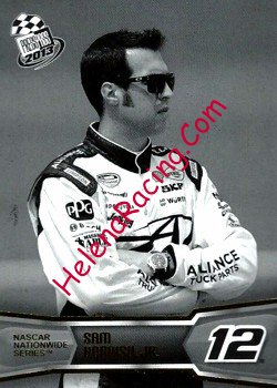 2013 Pass-Black.JPG