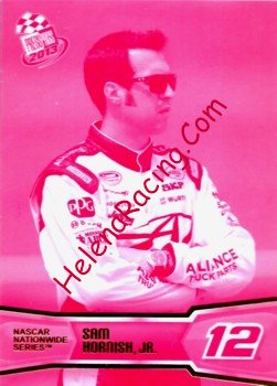 2013 Pass-Pink.jpg