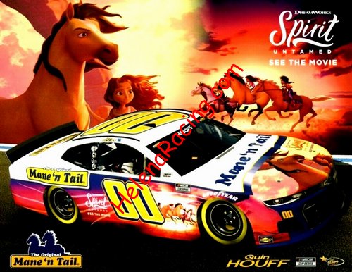Card 2021 Nascar Cup-Spirit (NS).jpg