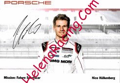 Card 2015 WEC-LMP1 (P).jpg