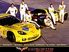 Card 2010 ALMS-GT (NS)-.jpg