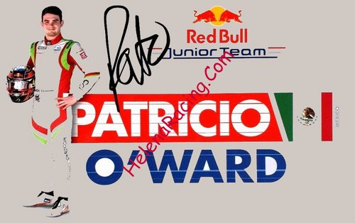 Card 2019 Indy Car-Red Bull Recto (S).jpg