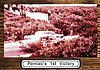 1991 Pioneers-Pontiac 1st Victory.jpg