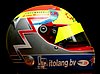 Helmet 2009.jpg