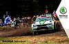 Card 2018 WRC (NS).jpg