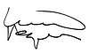 Autograph.jpg