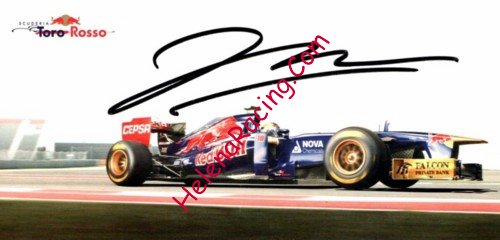 Card 2013 Formula 1 Verso (S).jpg