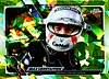 2021 Chrome-004-Variation-Chartreuse.jpg