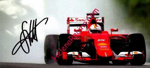 Card 2015 Formula 1 Verso (P).JPG