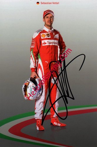 Card 2016 Formula 1 (S).JPG