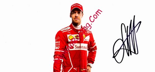 Card 2017 Formula 1 (P).jpg