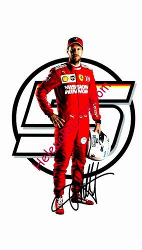 Card 2019 Formula 1 (P).jpg