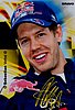 Card 2010 Formula 1-Bravo (P)-.jpg
