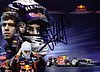Card 2011 Formula 1-02 Verso (P).jpg