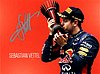 Card 2013 Formula 1-Cup (S).jpg