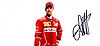 Card 2017 Formula 1 (P).jpg