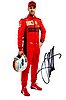Card 2020 Formula 1 (P).jpg
