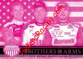 2014 Thunder-Brothers in Arm-Pink.jpg