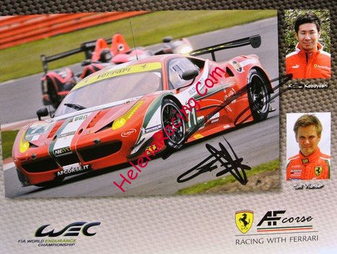 Card 2013 WEC-GTE (S).jpg