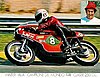 Card 1974 Moto 250cc (NS).jpg