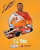 Card 2013 Indy Car (S).jpg