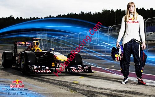 Card 2013 Red Bull (NS).jpg