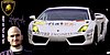 Card 2009 FIA-GT3-Euro (S).jpg