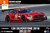 Card 2018-2 Silverstone 12 hours (NS).jpg