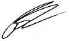 Autograph.jpg
